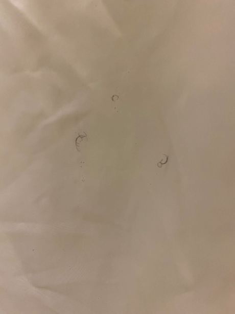 格林维尔贝斯特韦斯特酒店-浴室
