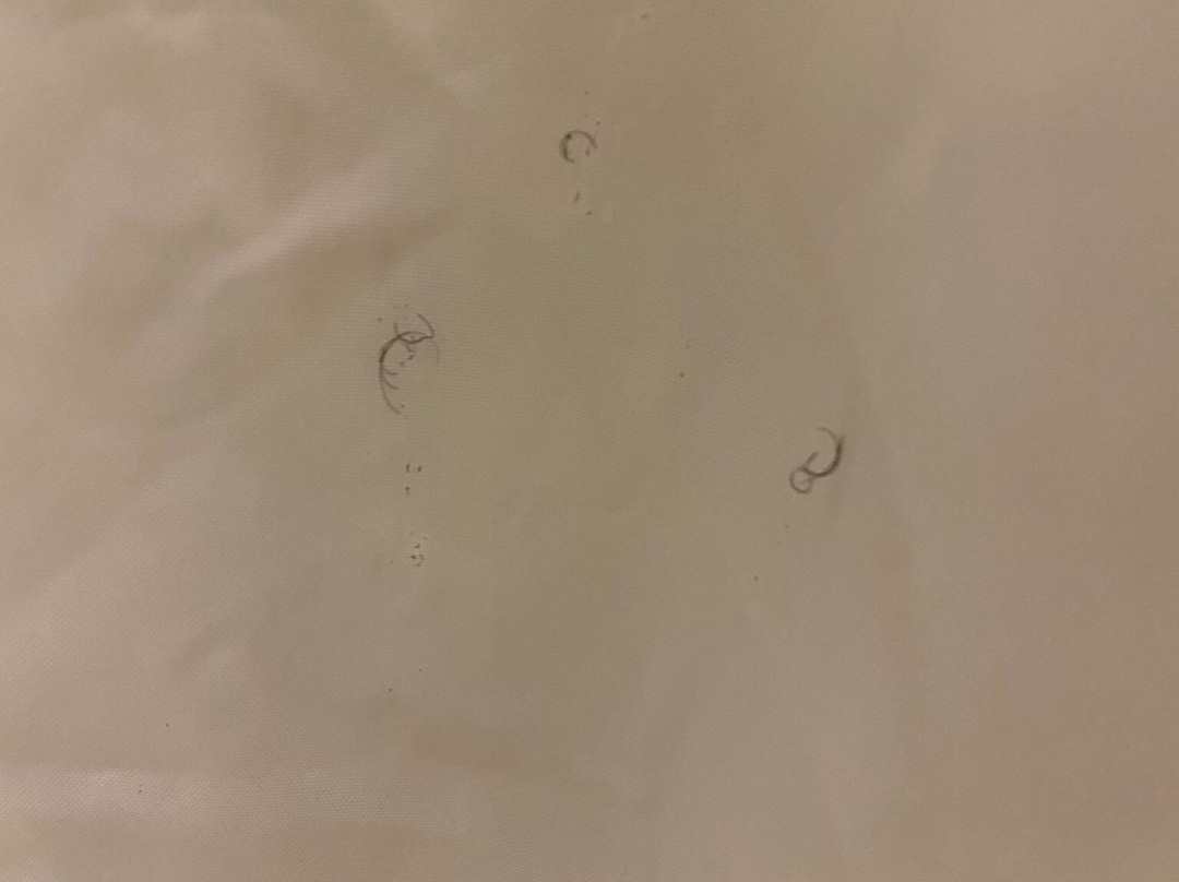 格林维尔贝斯特韦斯特酒店主图