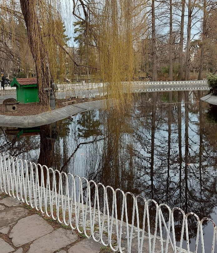 Danube Park景点图片