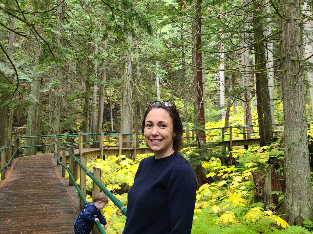 Hemlock Grove Boardwalk Trail景点图片