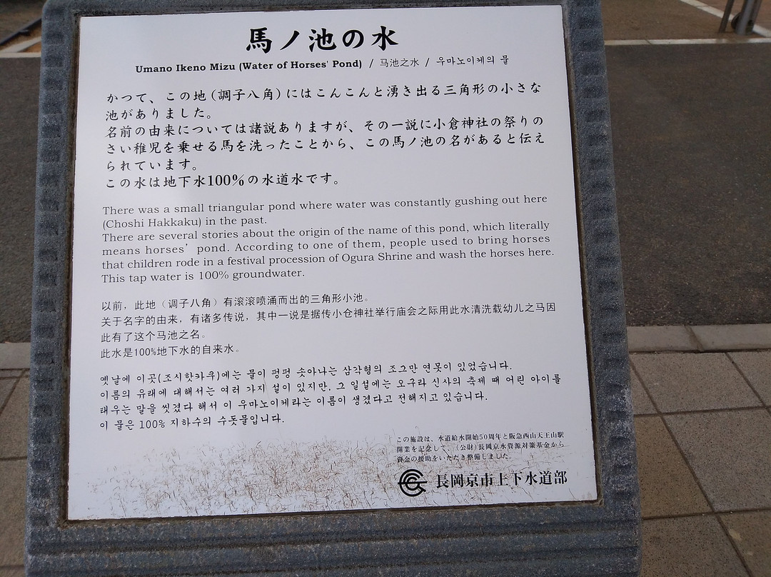 Choshibanoike Park-长冈京市必去景点