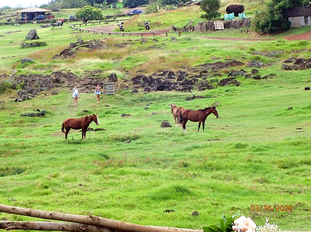 Cementerio de Isla de Pascua-安加罗阿必去景点