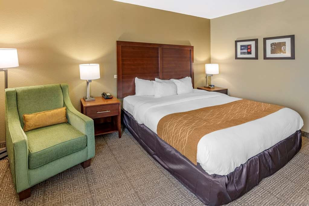 Comfort Inn & Suites Lincoln Talladega I-20主图