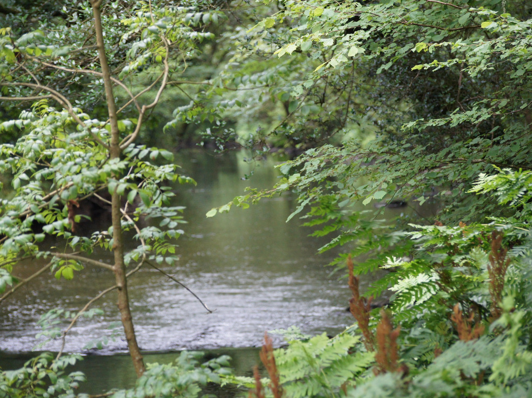 Les Gorges du Stangala-坎佩尔必去景点