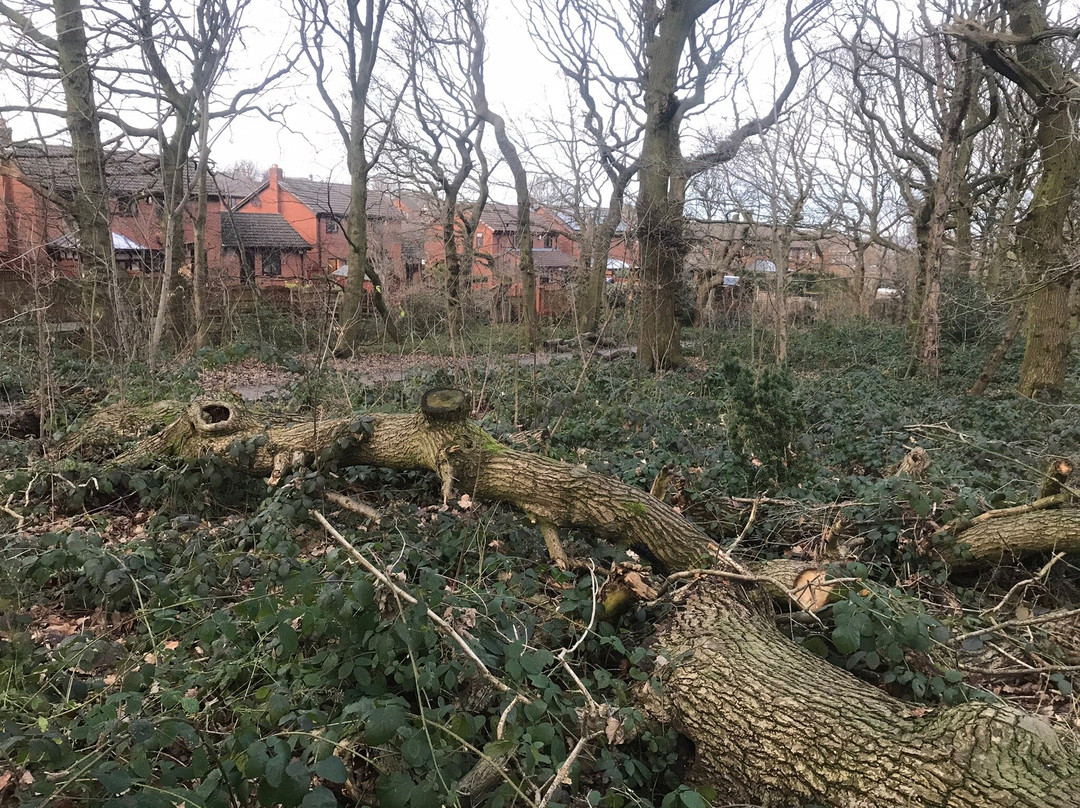 Churwell Woodland Railway-Morley必去景点