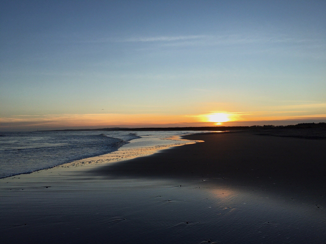 St Cyrus Beach景点图片