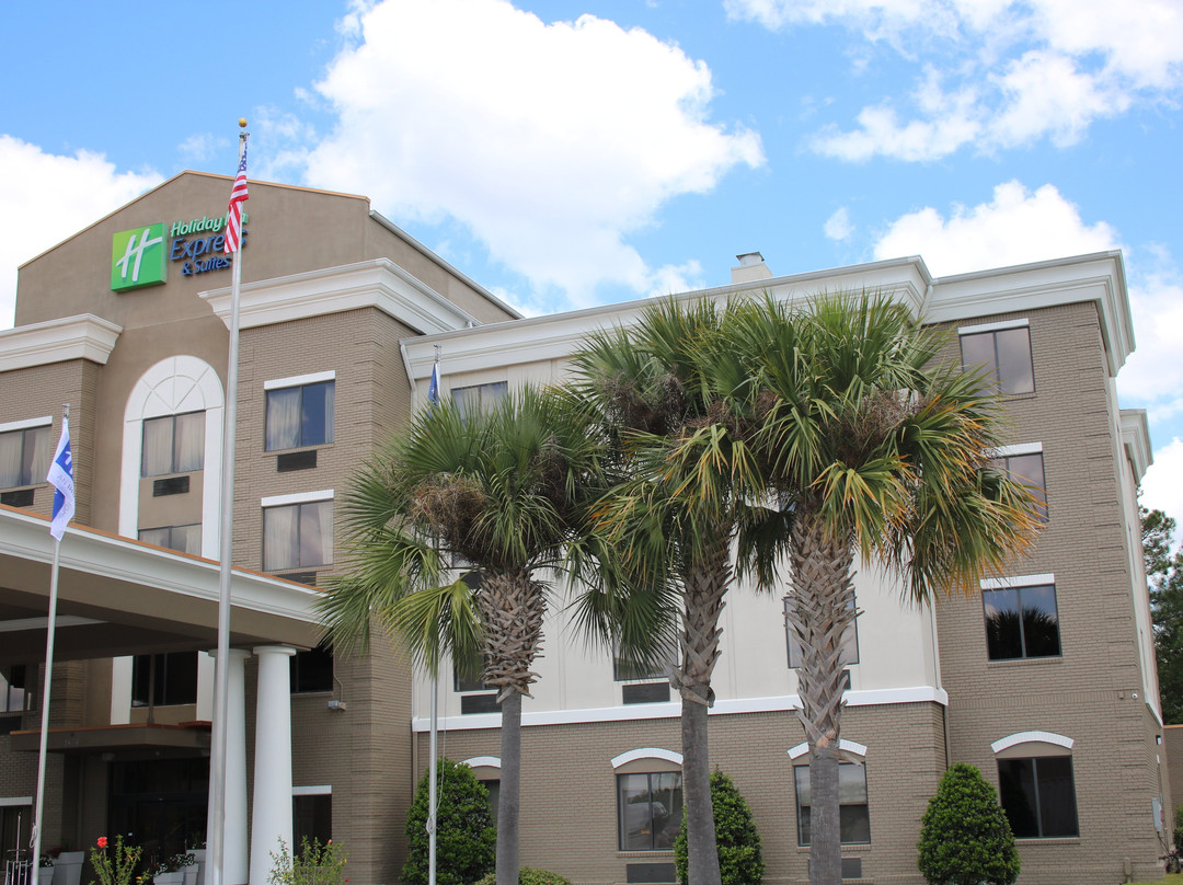 Holiday Inn Express & Suites Douglas By IHG主图