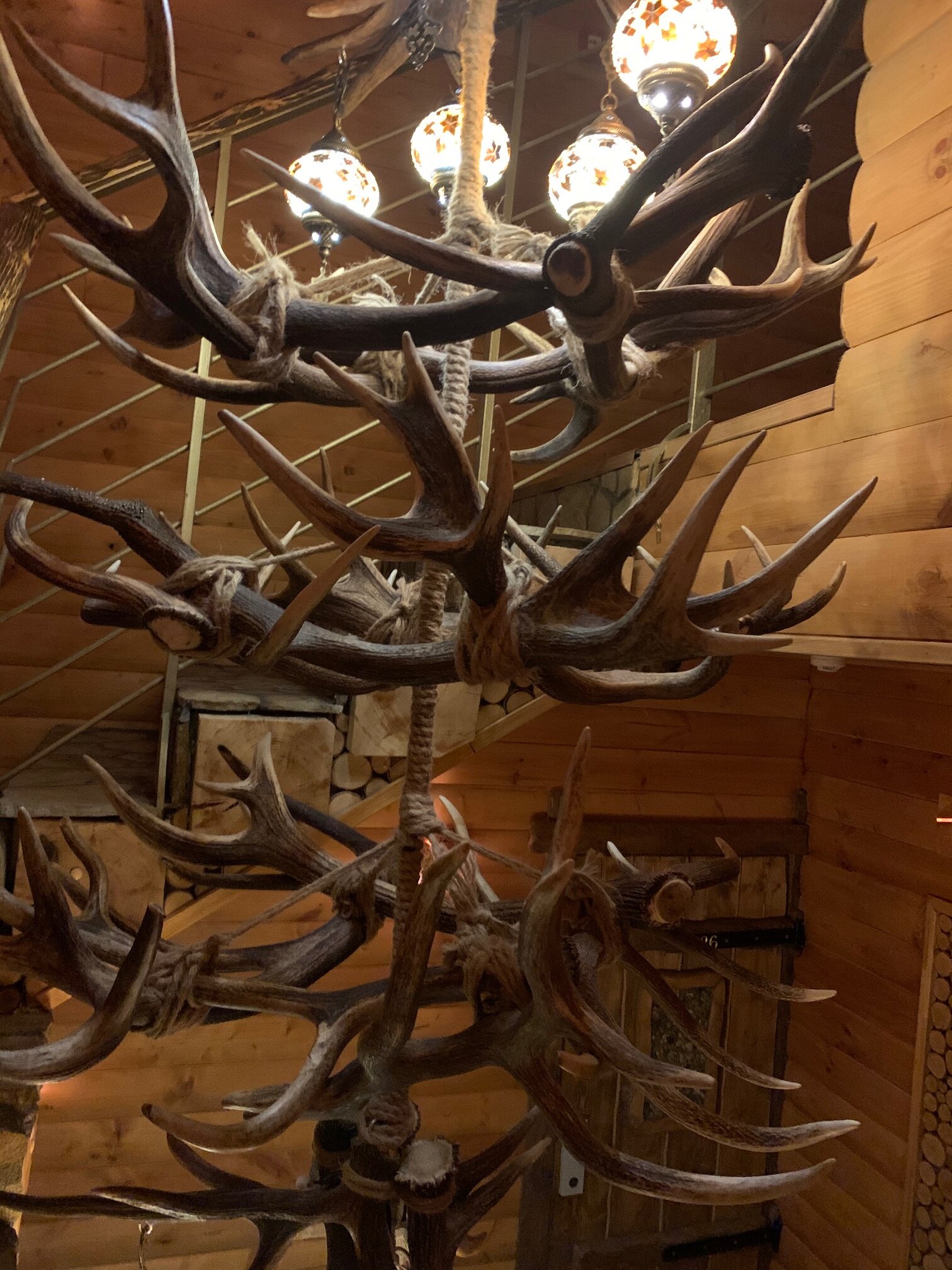 Exclusive Wild-浴室