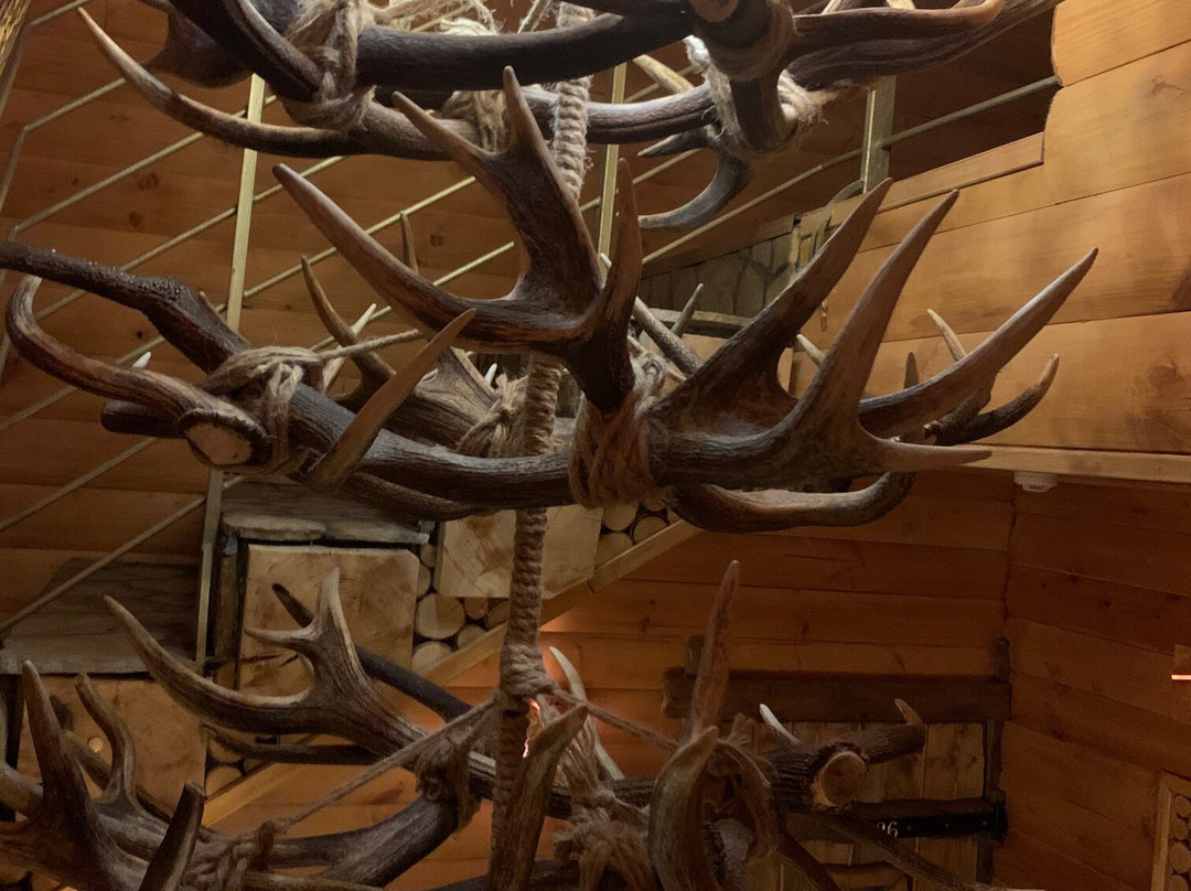 Exclusive Wild主图