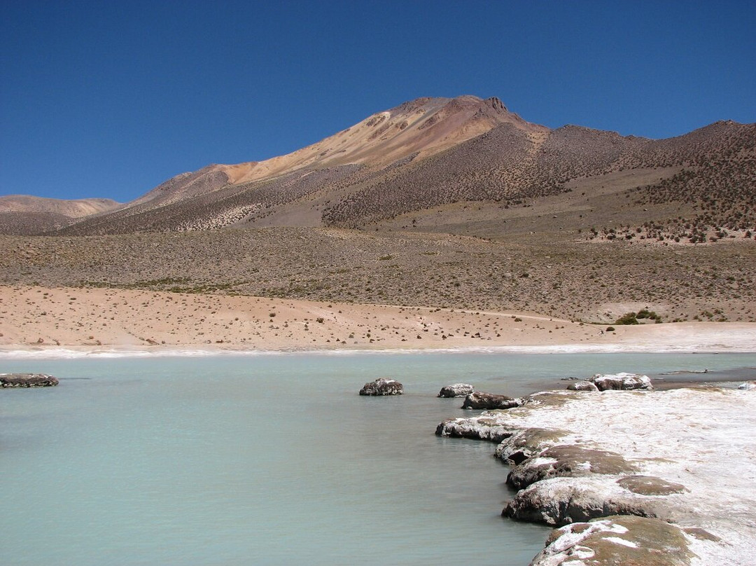 Salar de Surire景点图片
