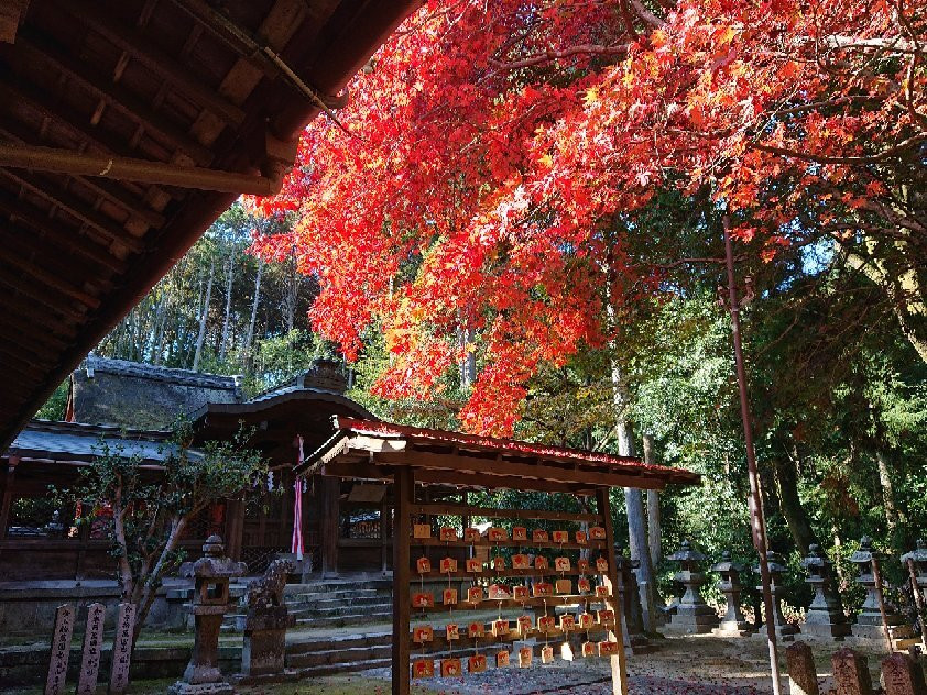Shuchi Shrine