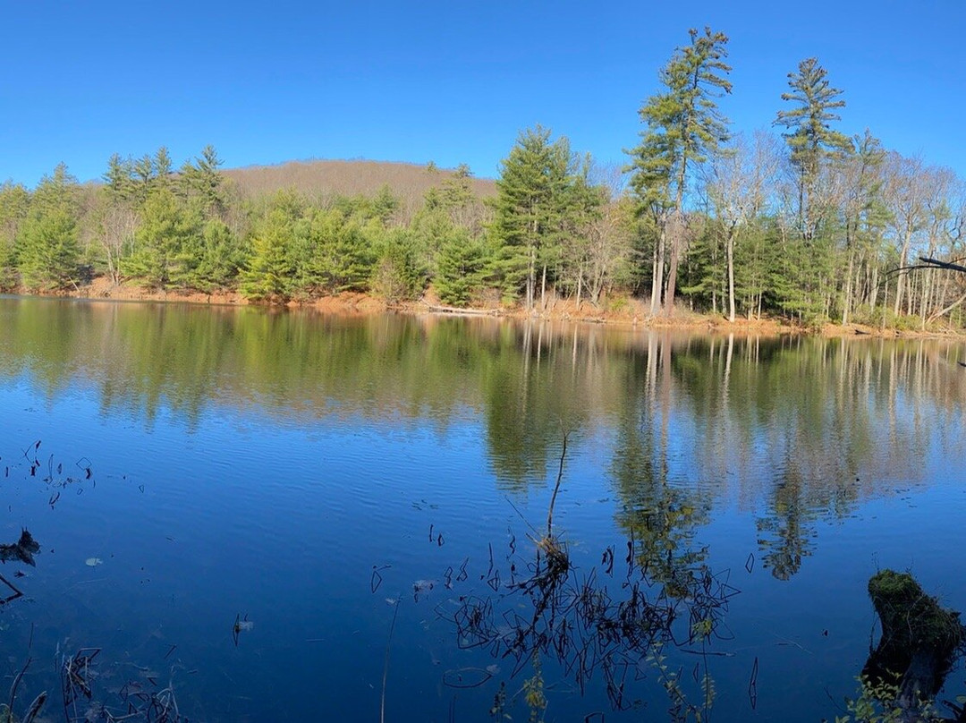 Bearsden Conservation Area-Athol必去景点