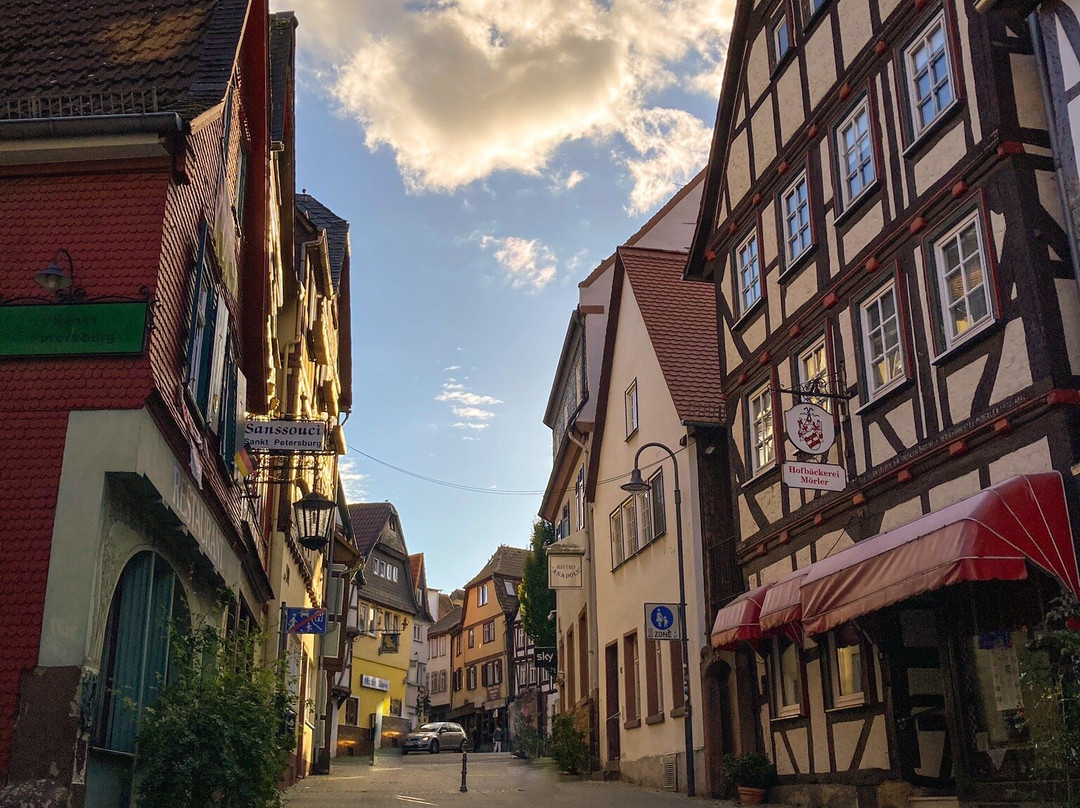 Friedberg Castle景点图片