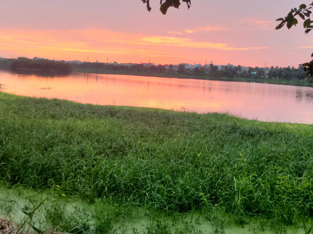 Agara Lake景点图片