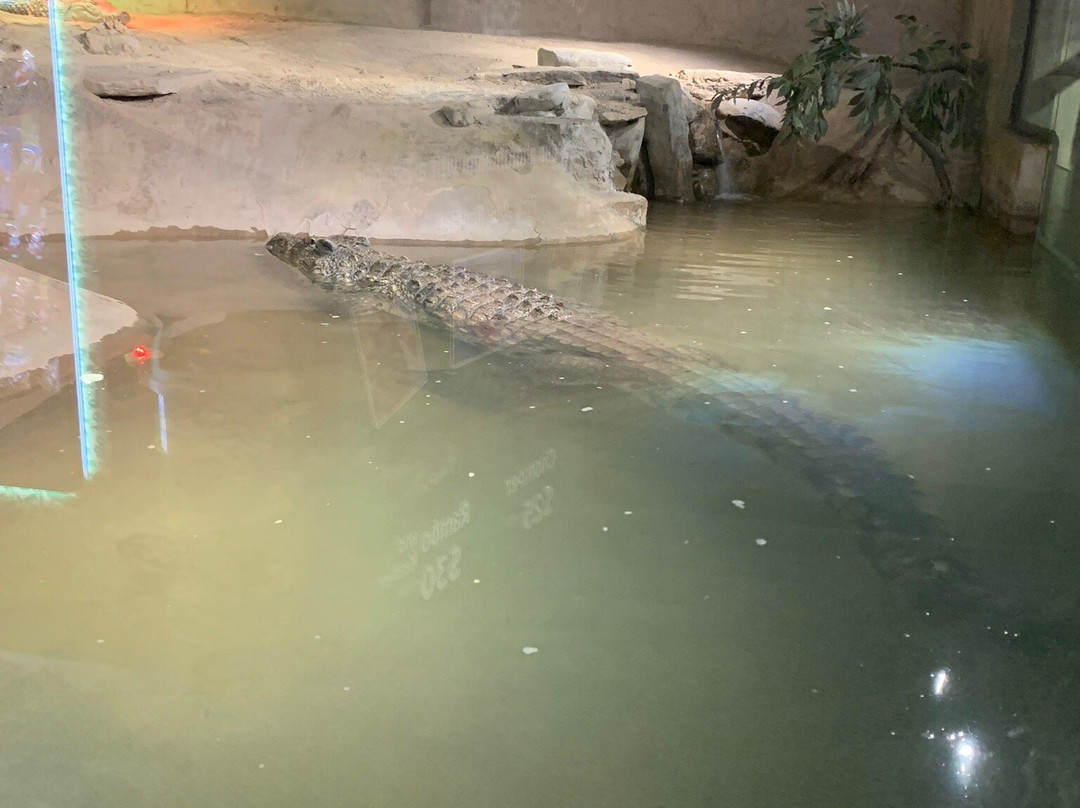 Reptilia Zoo and Education Centre Vaughan景点图片