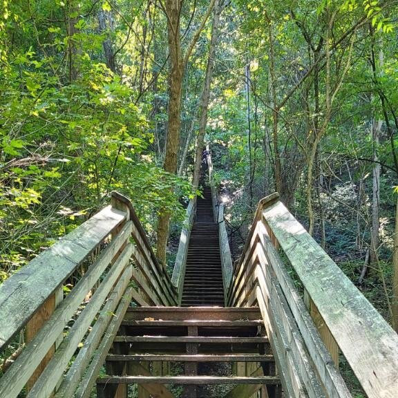 Kaymoor Miners Trail景点图片