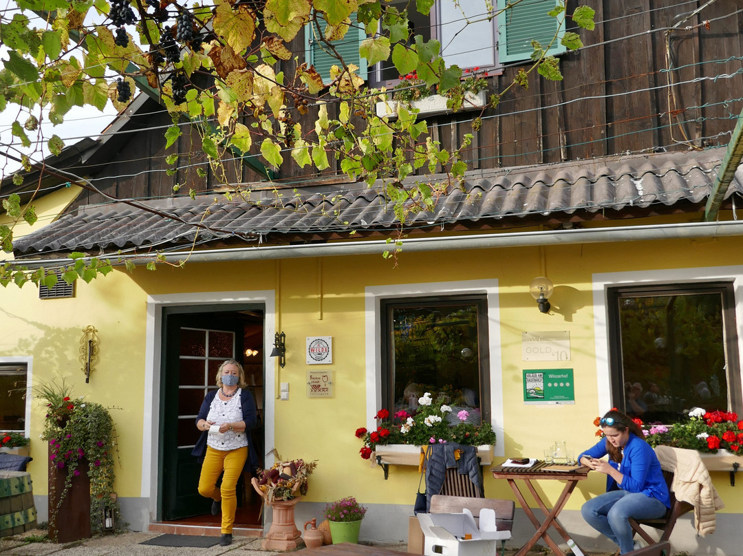 Weingut Lorenz-Kitzeck im Sausal必去景点