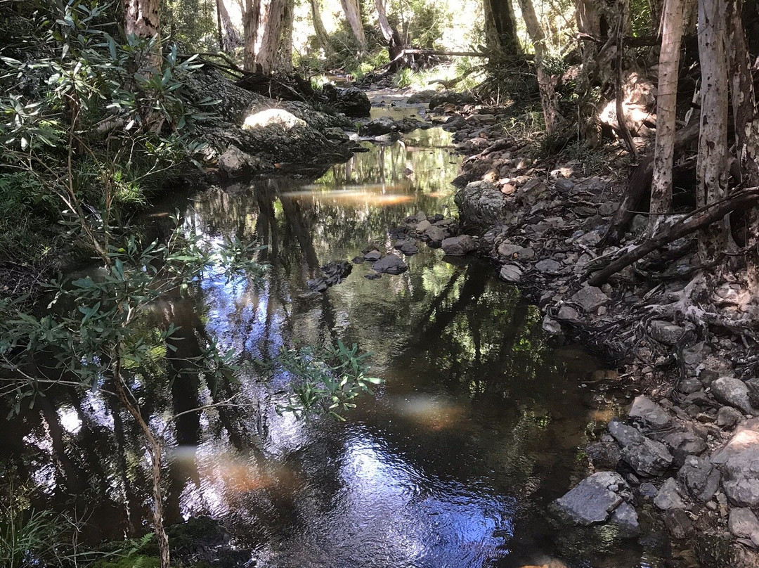 Wrights Lookout-库兰达必去景点