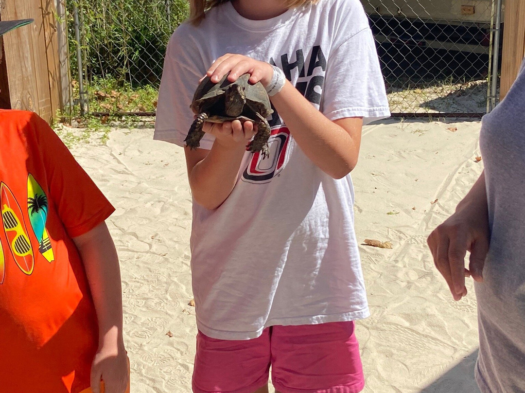 Gator Country Alligator Park-巴拿马城海滩必去景点