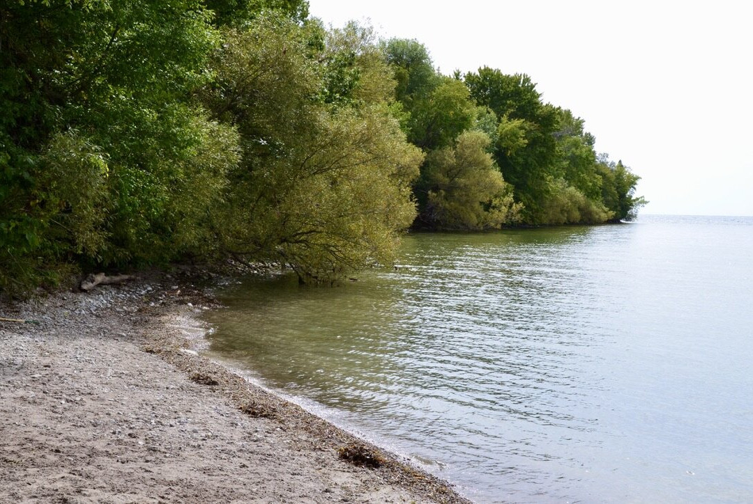 McRae Point Provincial Park景点图片