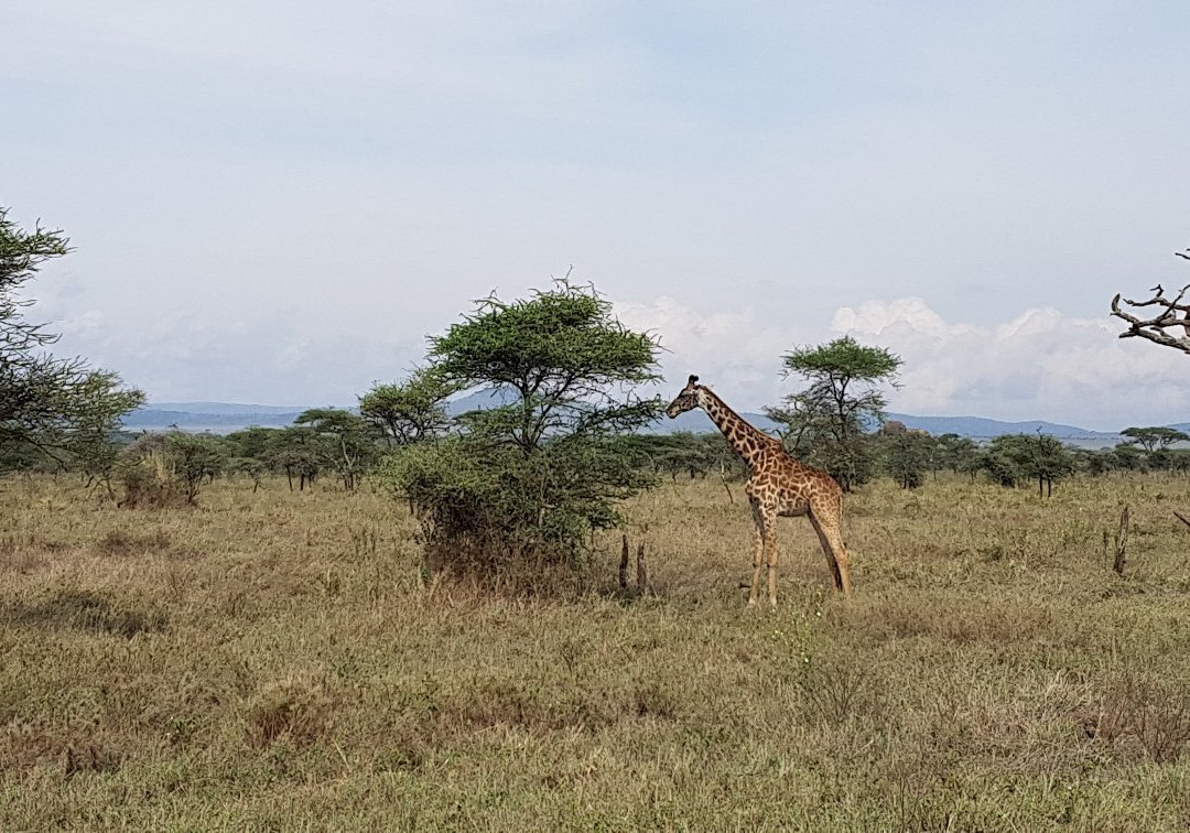 African DMC-阿鲁沙必去景点