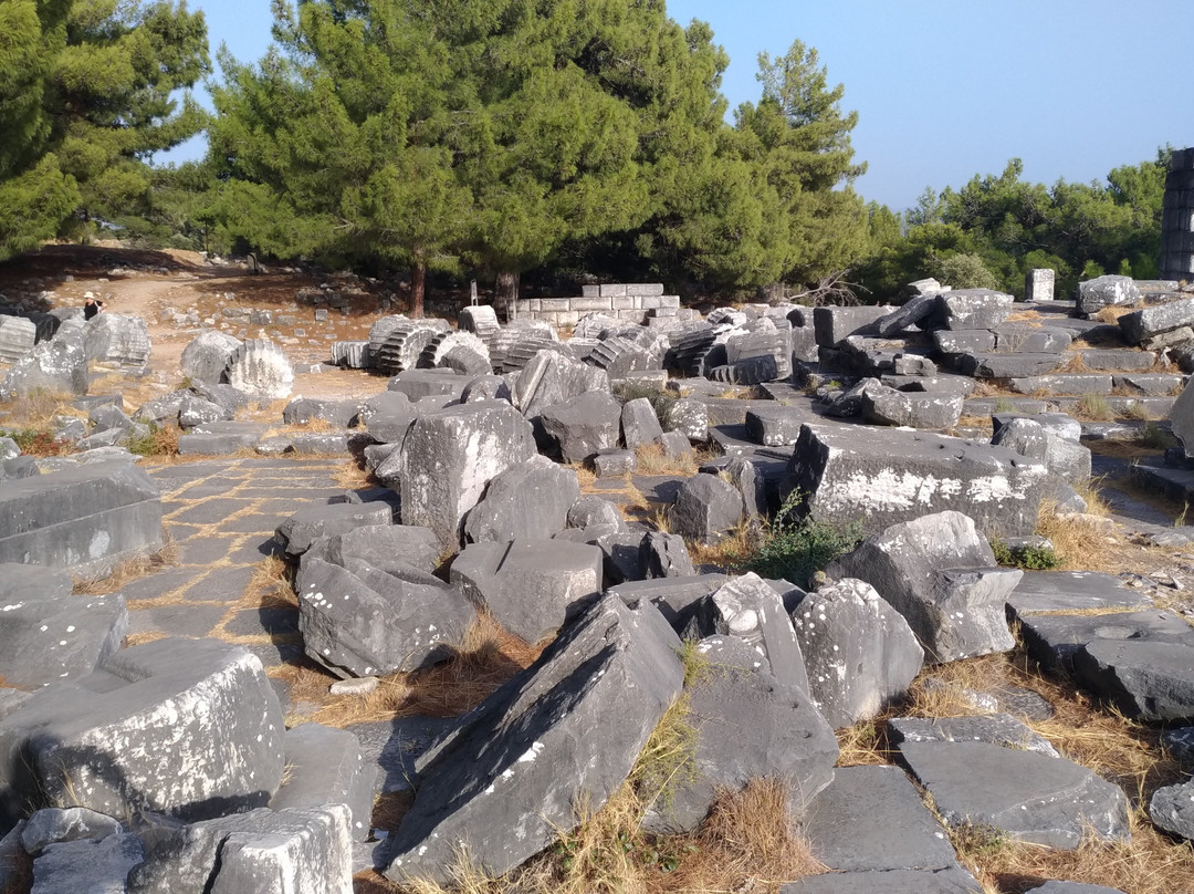 Priene Antik Kenti-Gullubahce必去景点