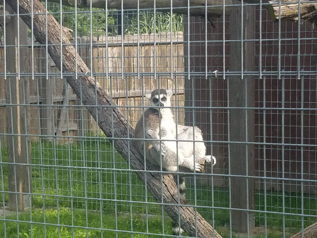 Brit Spaugh Zoo-Great Bend必去景点