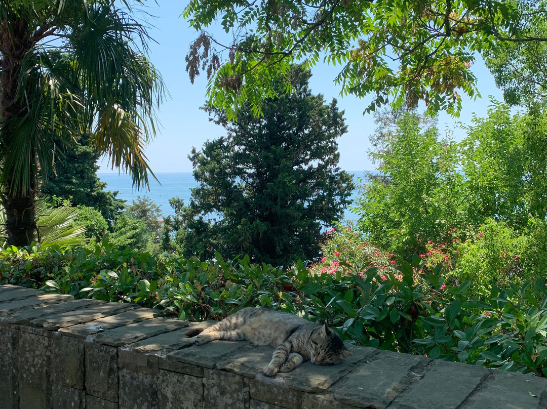 Arboretum Park-索契必去景点