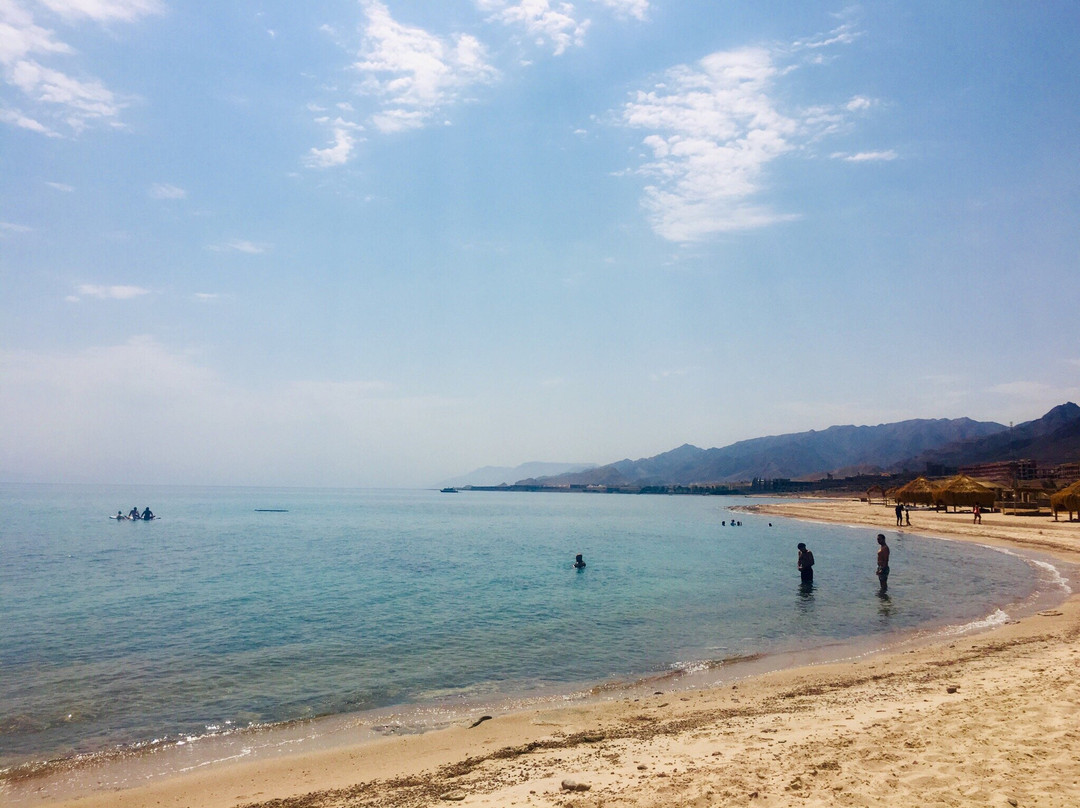 Safari Beach Resort主图