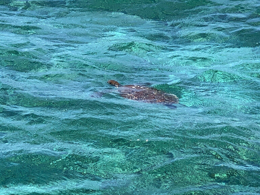 Coral Bay Ecotours-珊瑚湾必去景点