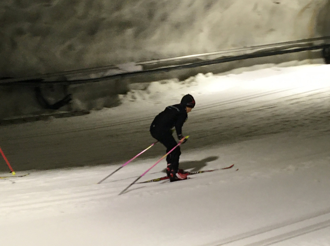 Sport & Spa Hotel Vesileppis主图