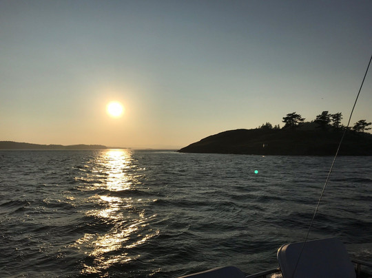 Friday Harbor Cruises-星期五港湾必去景点