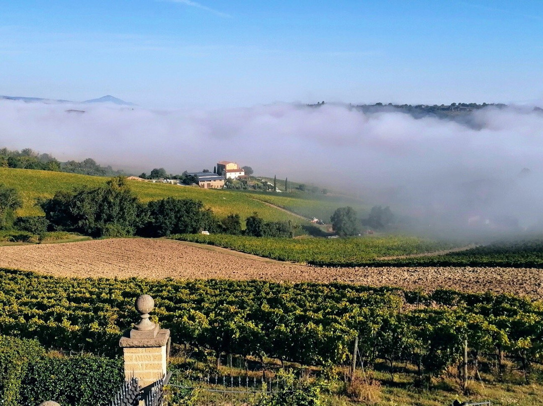 Rocca Ripesena旅游攻略图片