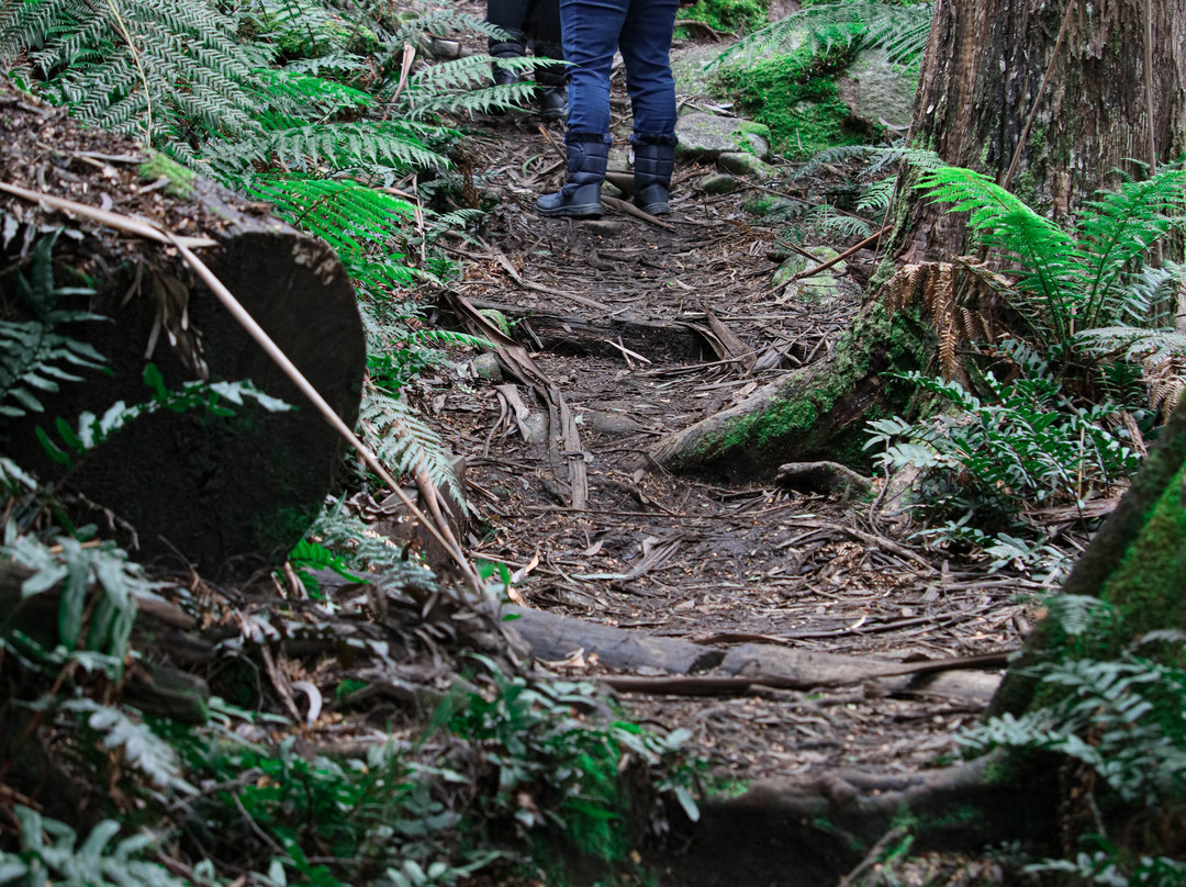 Mushroom Rocks-Erica必去景点