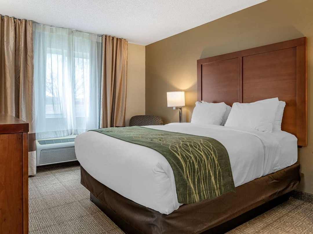 Comfort Inn & Suites Lansing - Dimondale主图