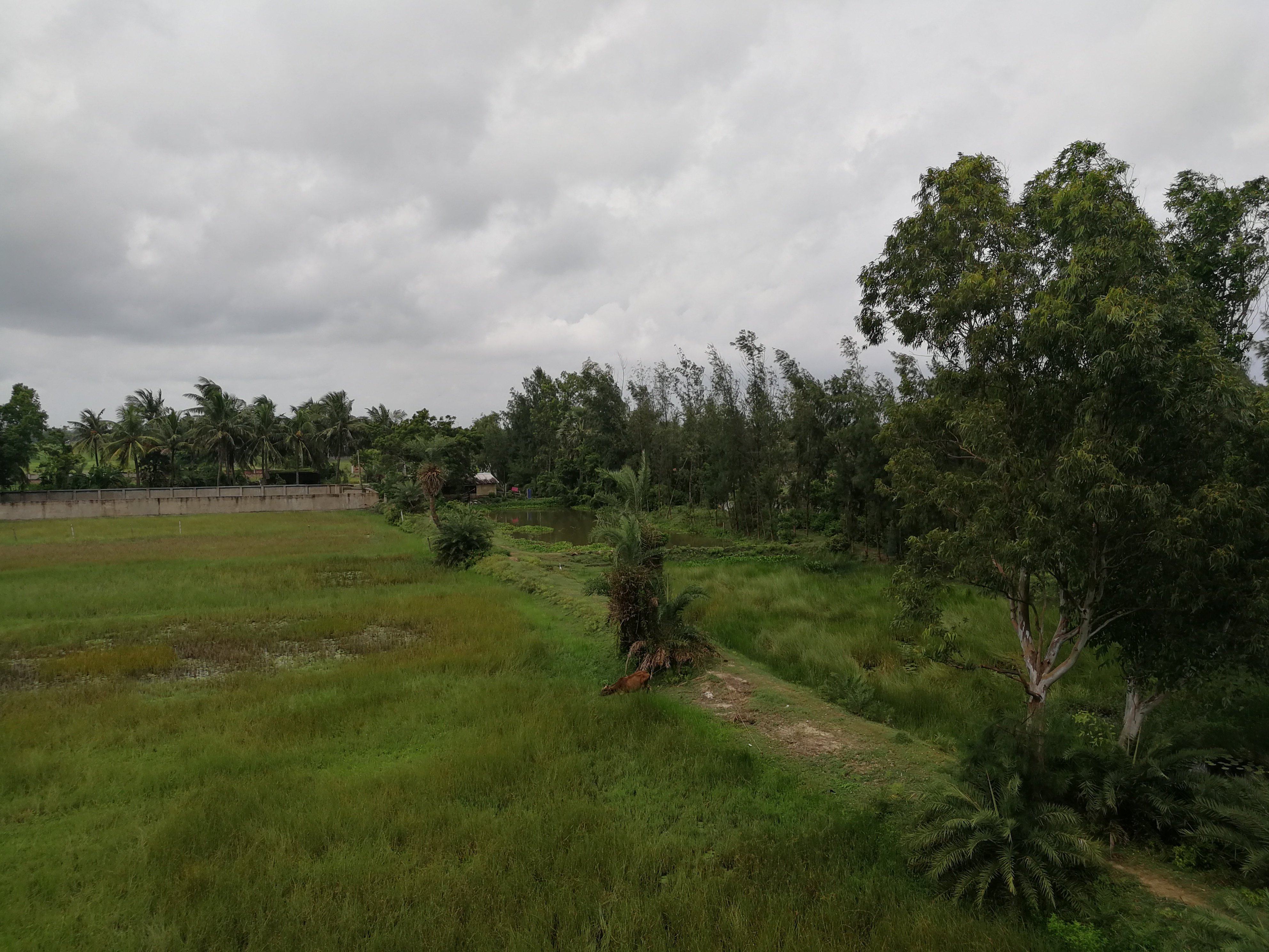 Krishti Resorts-酒店景观