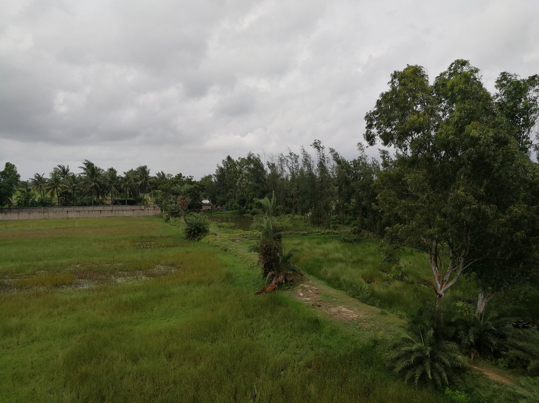 Krishti Resorts主图