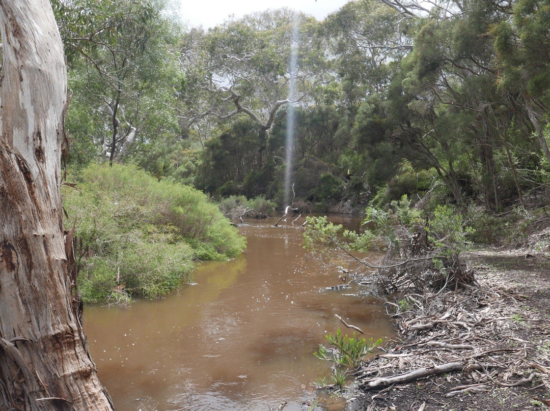 Little Sahara-袋鼠岛必去景点