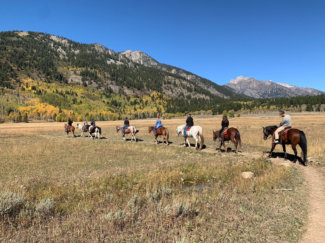 Teton Village Trail Rides景点图片