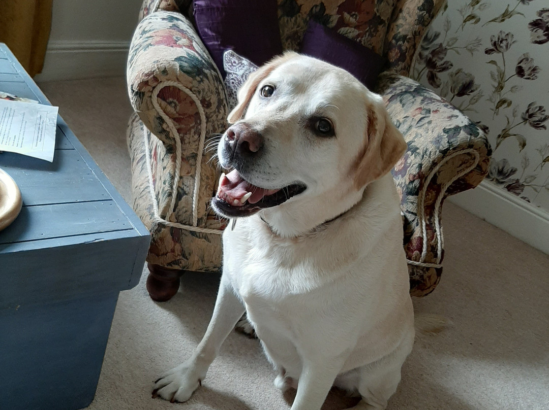 Low Gingerfield Farm B&B主图