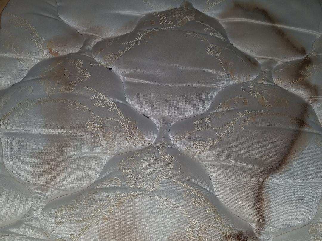 Blue Haven Motel I-75 North Exit 128&129主图