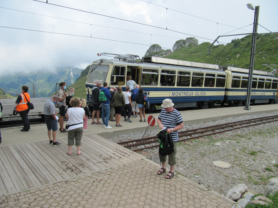 Train à crémaillère Montreux - Rochers-de-Naye景点图片