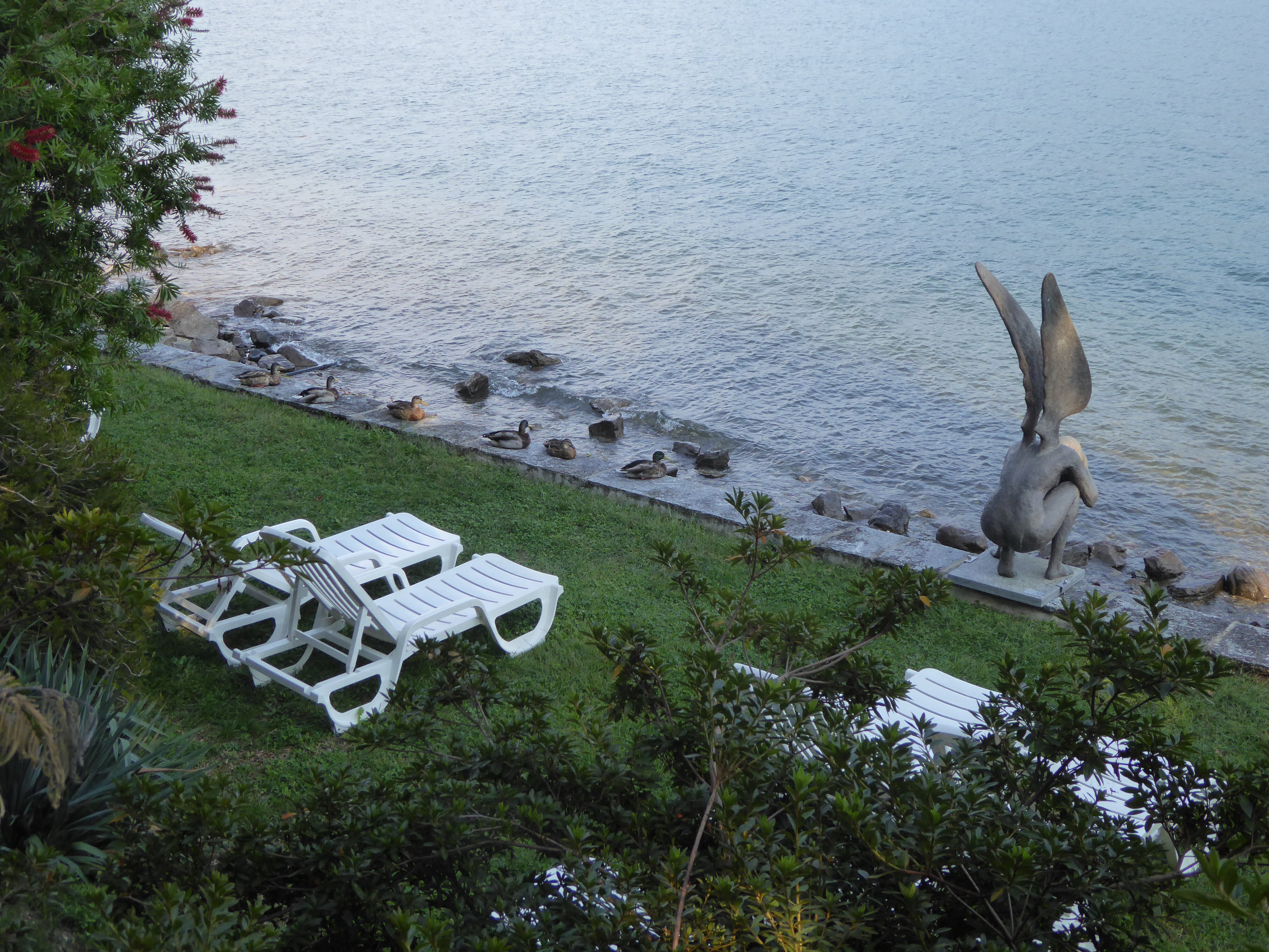 Hotel-Garni Rivabella Au Lac-泳池