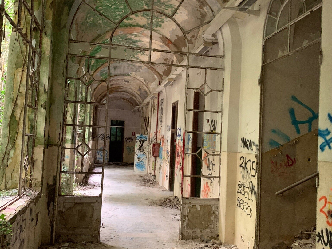 Ex Manicomio di Mombello景点图片