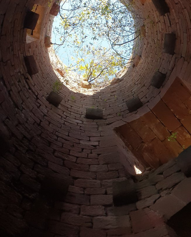 Chateau de Landsberg景点图片