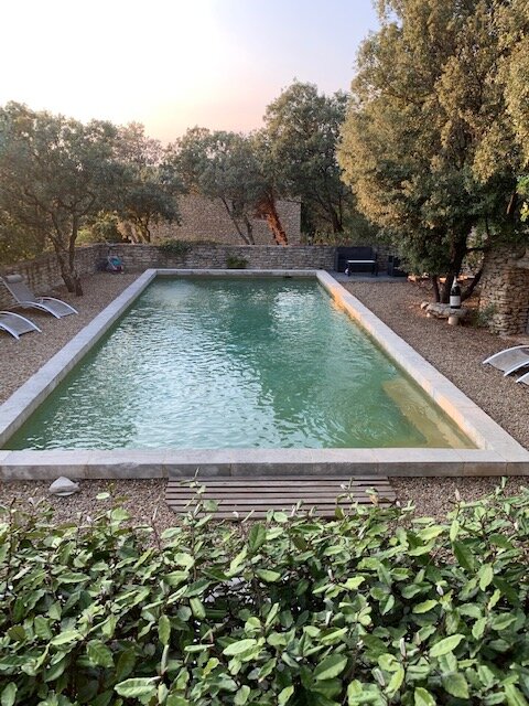Bacchus en Luberon-泳池