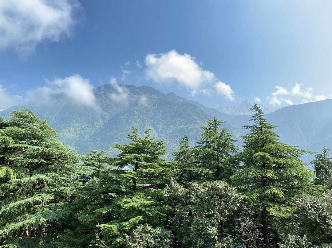 Hyatt Regency Dharamshala Resort主图