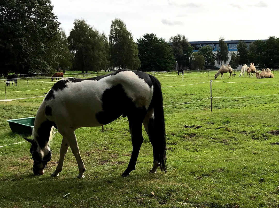 布朗达兰德酒店主图