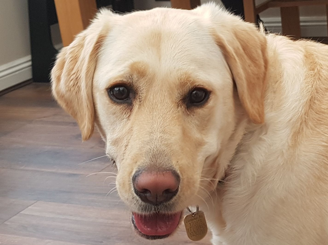 The Coach & Horses Inn主图