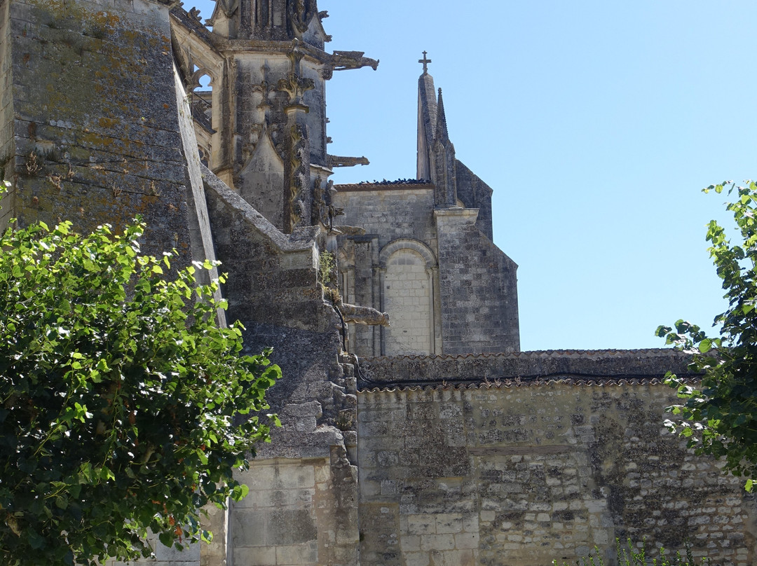 Cathedrale Saint-Pierre景点图片